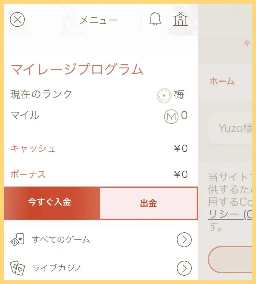 Payz-旧エコペイズ-とは-特徴や登録方法-入出金方法や手数料もご紹介-入出金